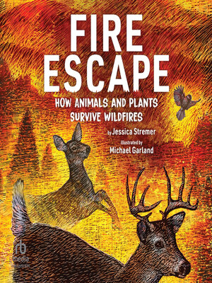 cover image of Fire Escape